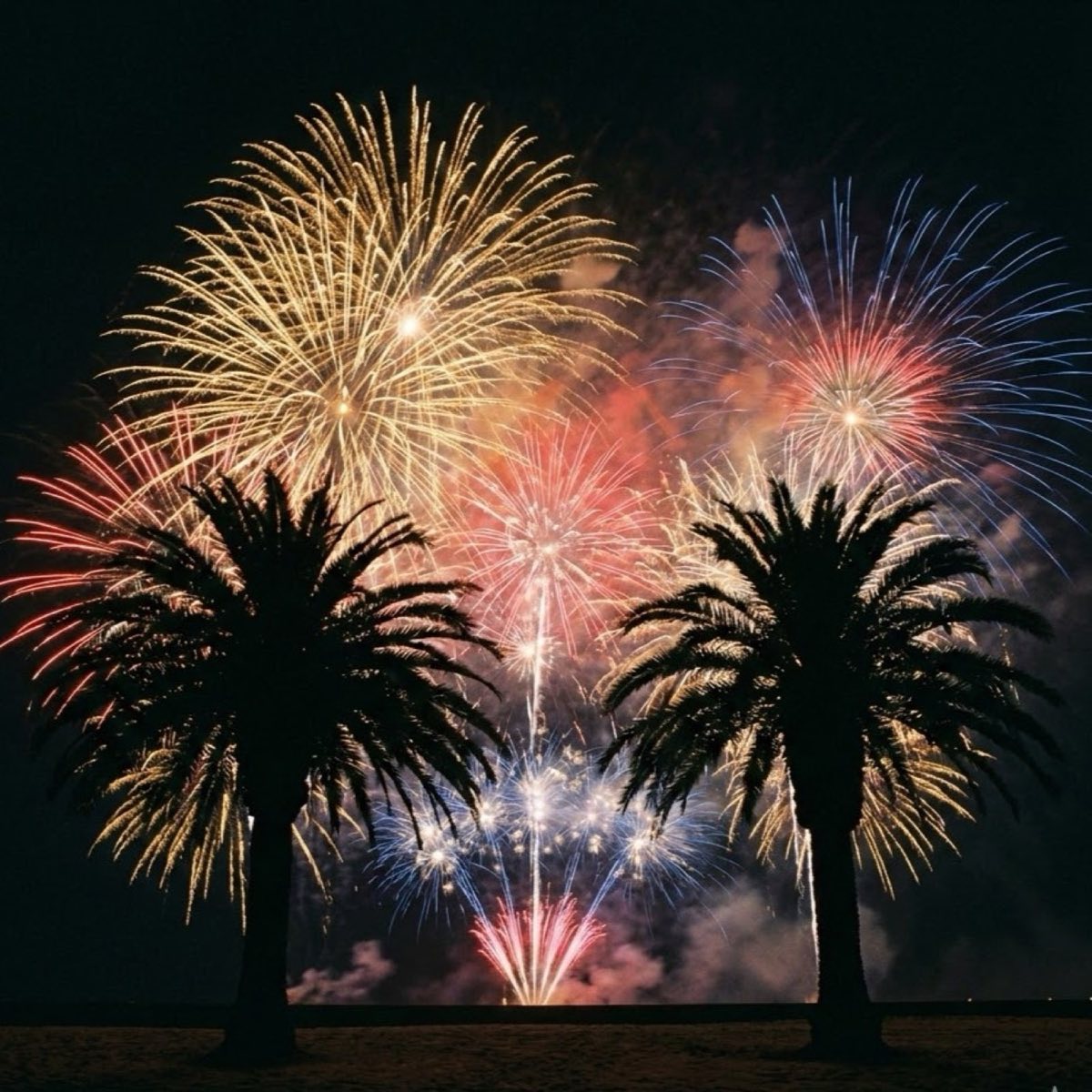 Fireworks bursting in the night sky between two silhouetted palm trees