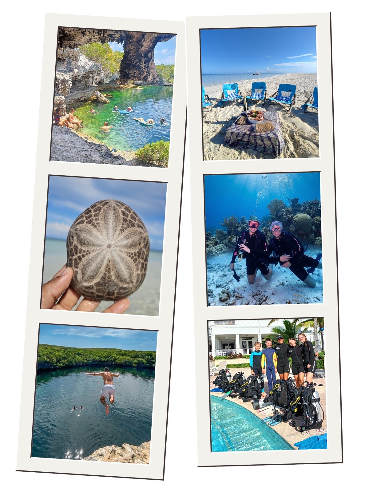 More Chub Cay Divers adventures: swimming in a cave pool, a beach picnic, reef diving, a sand dollar, cliff jumping at a blue hole, and a family with scuba gear by the pool