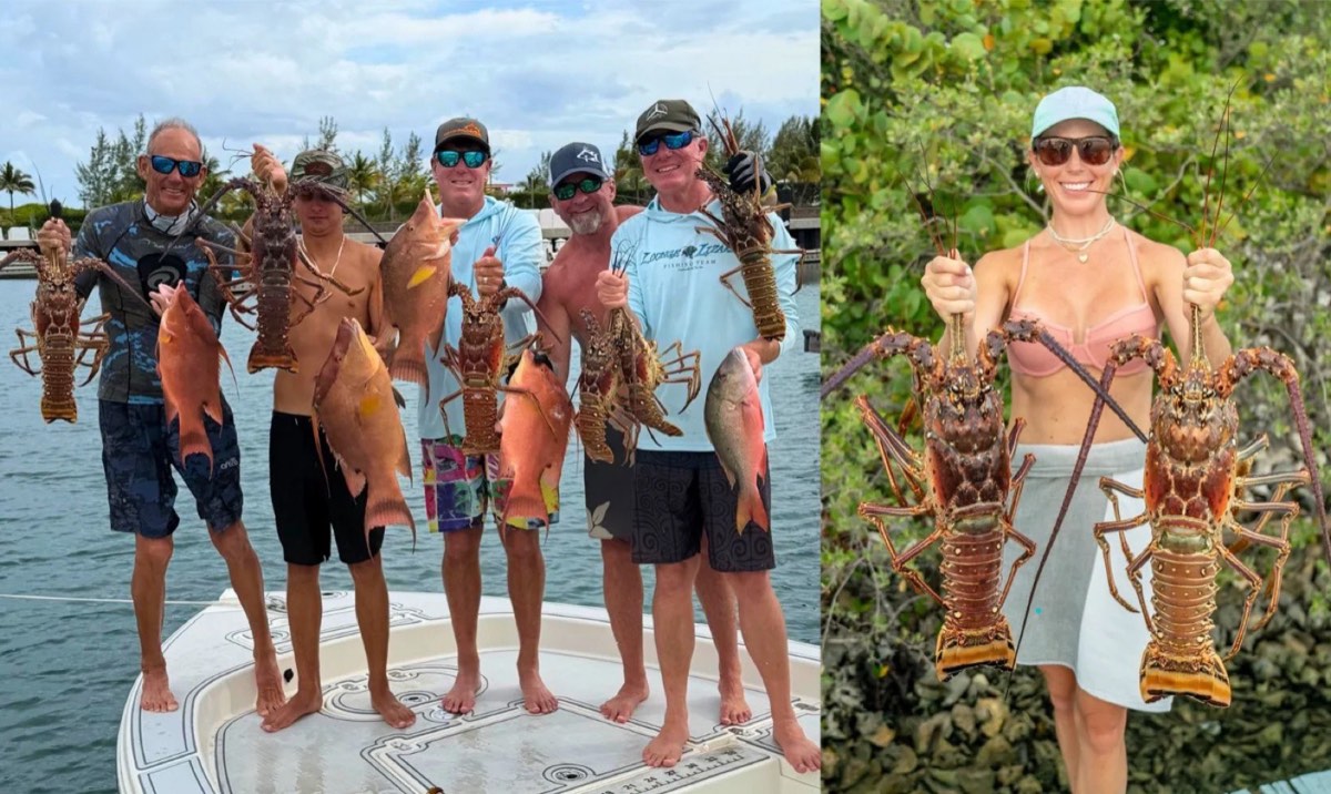 Members aboard a boat and on shore showing off their spiny lobster catches